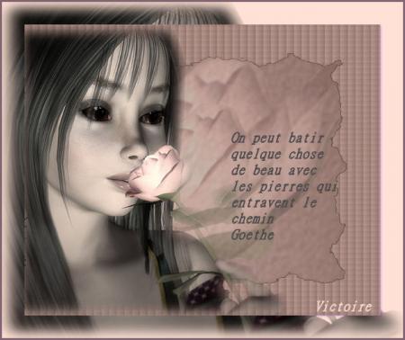 Le chemin 